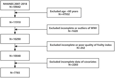 The association between the weight-adjusted-waist index and frailty in US older adults: a cross-sectional study of NHANES 2007–2018